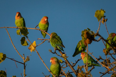 Namibia Namibia