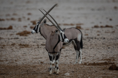 Namibia Namibia