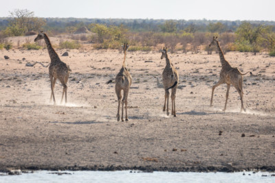 Namibia Namibia