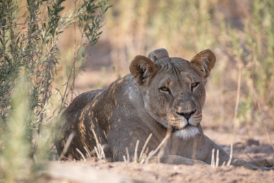 Namibia Namibia